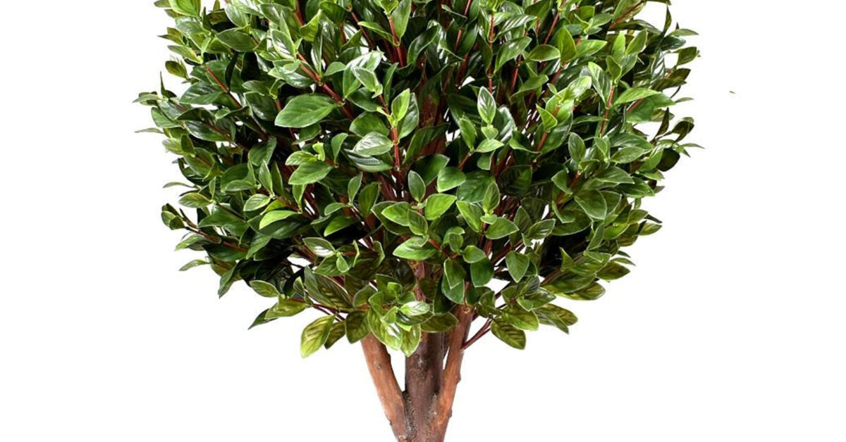 90cm UV Resistant Gloxinia Single Ball Topiary with 1608 Leaves.