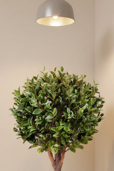 90cm UV Resistant Gloxinia Single Ball Topiary with 1608 Leaves.