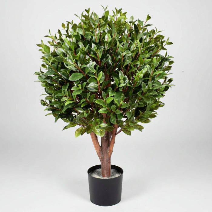 90cm UV Resistant Gloxinia Single Ball Topiary with 1608 Leaves.