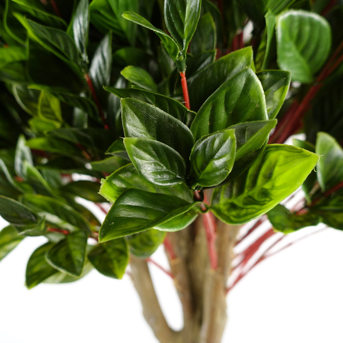 90cm Pair of UV Resistant Gloxinia Single Ball Topiary with 1608 Leaves and Natural Trunk