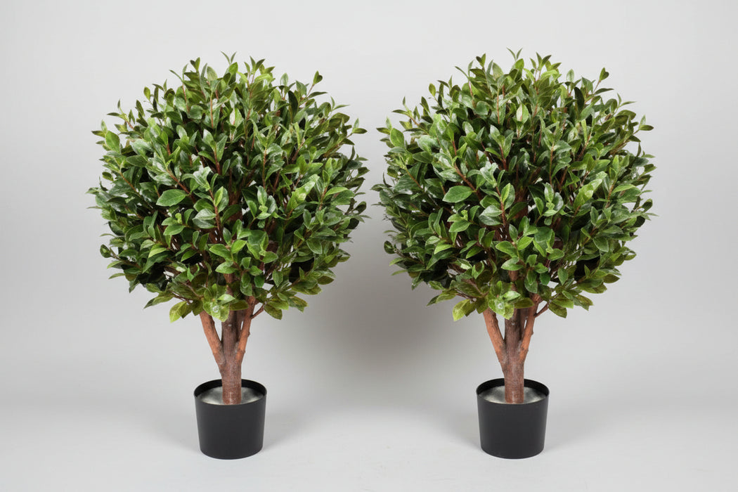 Pair of 90cm UV Protected Artificial Gloxinia Topiary Trees