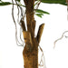 100cm Longifolia Ficus Tree Artificial Natural Trunk