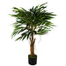 100cm Longifolia Ficus Tree Artificial Natural Trunk