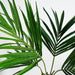120cm Kentia Palm Artificial Tree