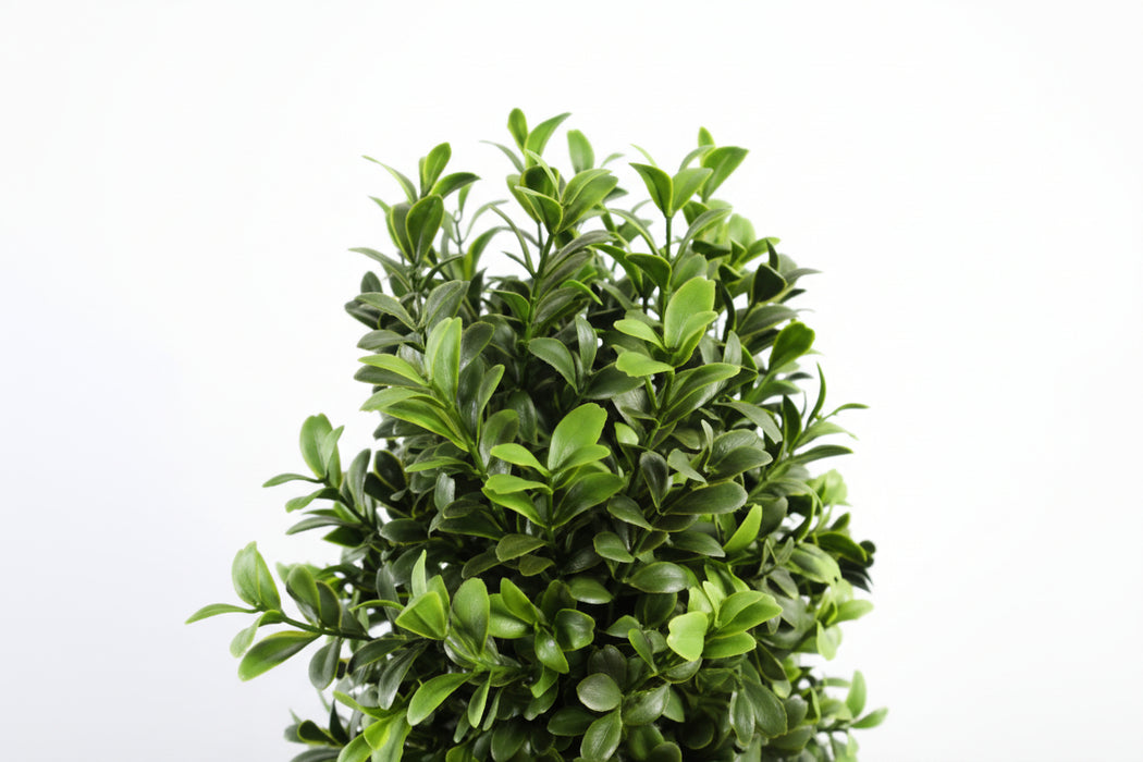 120cm Pair of Realistic Spiral Buxus Topiary Tree. UV Resistant Outdoor