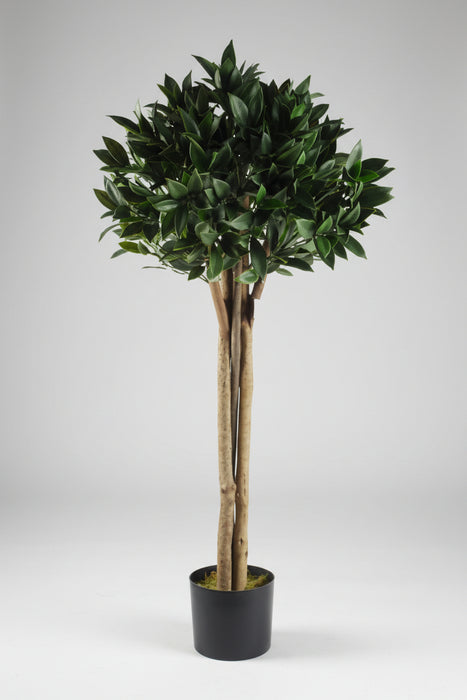 120cm Bay Tree Laurel UV Resistant Outdoor Topiary