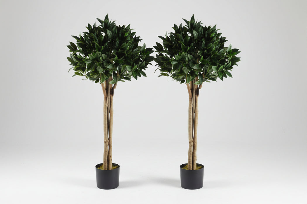 120cm Pair of Bay Trees Laurel UV Resistant Outdoor Topiary