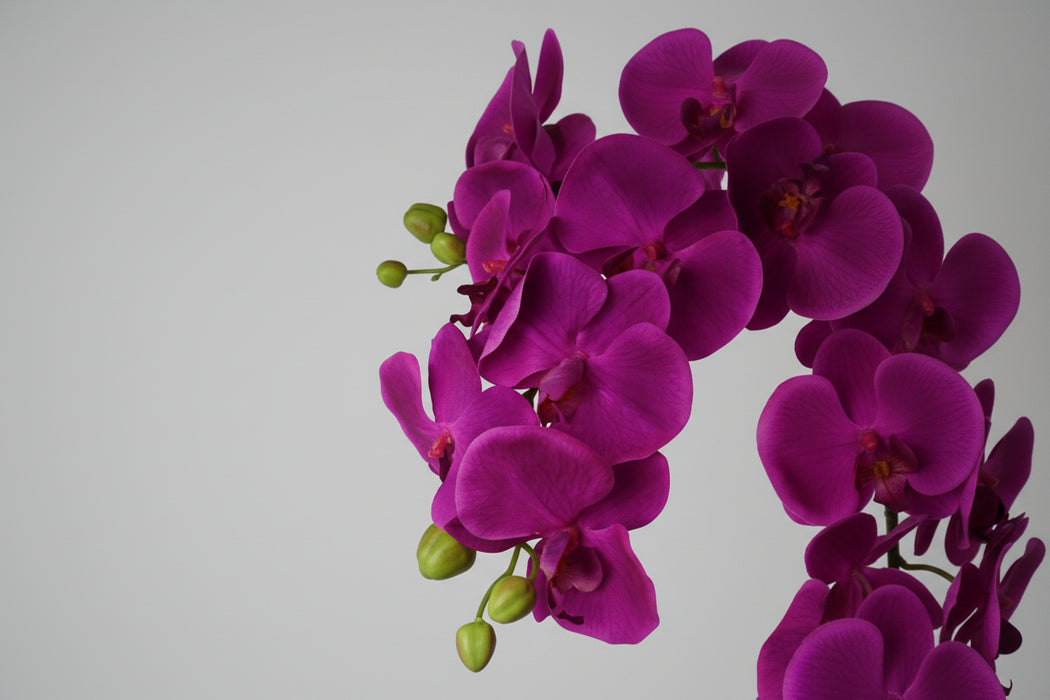 150cm Giant Purple Orchid Plant - REAL TOUCH Flowers.