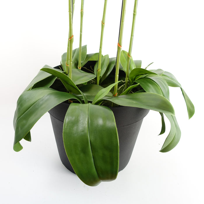 150cm Giant Pink Orchid Plant - Artificial - 189 flowers REAL TOUCH
