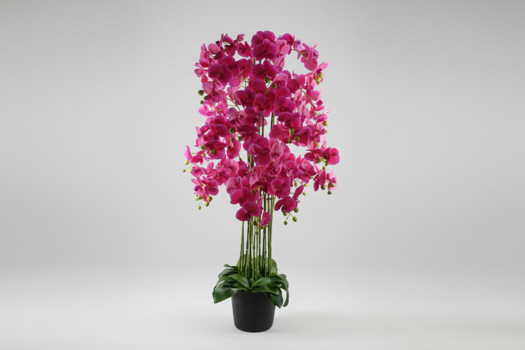 150cm Gorgeous Giant Pink Orchid Plant – 189 flowers REAL TOUCH