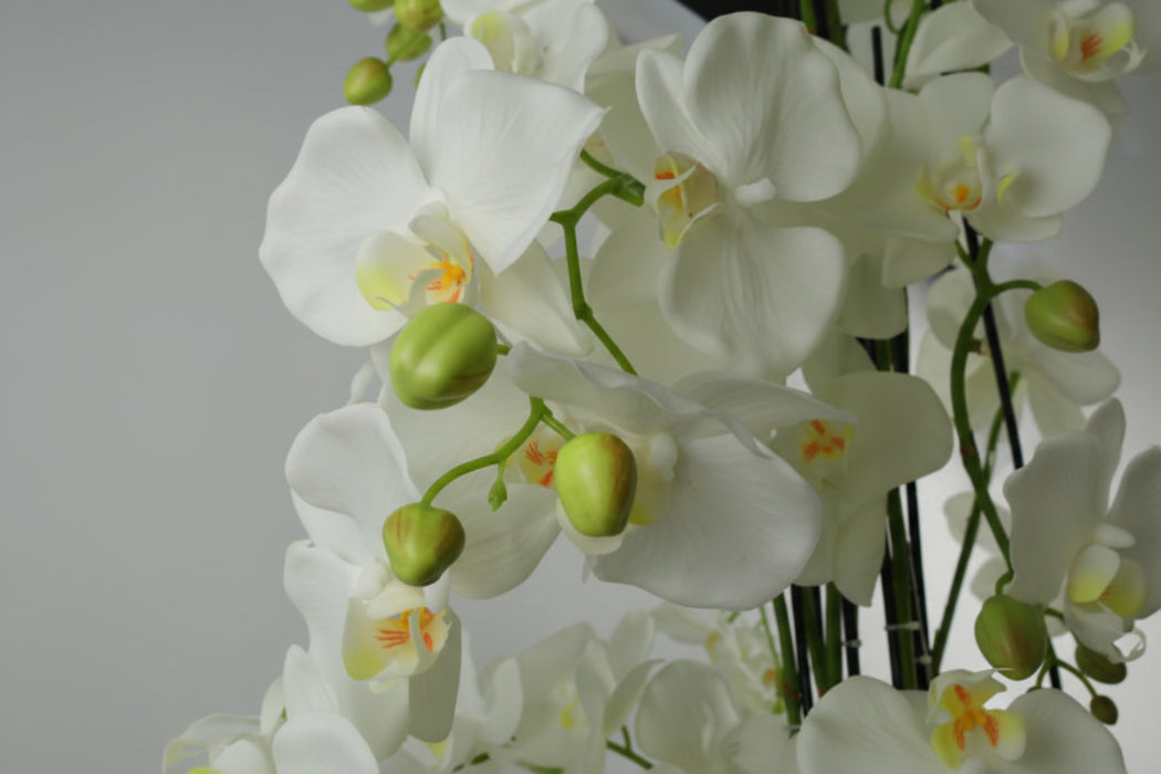 150cm Beautiful Giant White Orchid Plant with189 flowers REAL TOUCH