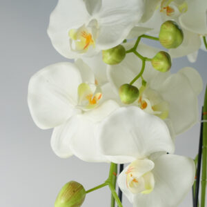 150cm Beautiful Giant White Orchid Plant with189 flowers REAL TOUCH