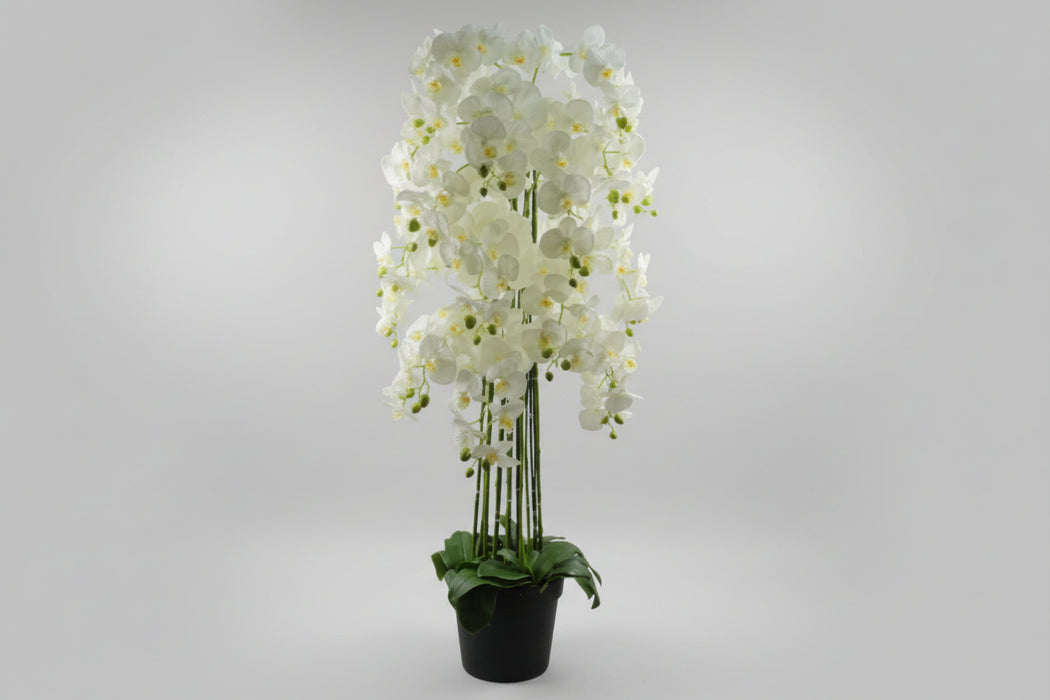 150cm Beautiful Giant White Orchid Plant with189 flowers REAL TOUCH