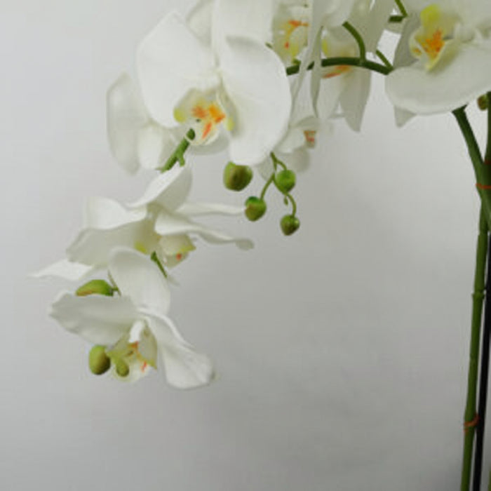 150cm Beautiful Giant White Orchid Plant with189 flowers REAL TOUCH