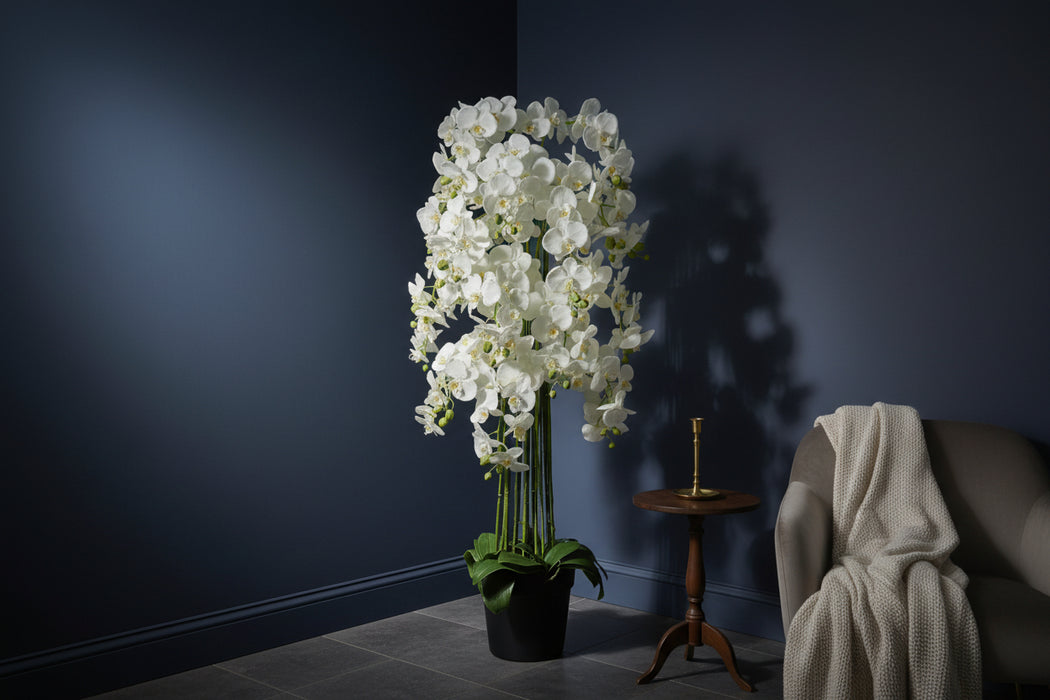 150cm Beautiful Giant White Orchid Plant with189 flowers REAL TOUCH