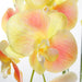 110cm Large Yellow Peach Orchid Plant - Artifcial - 41 REAL TOUCH flowers