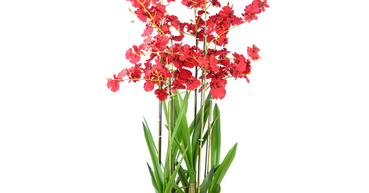 90cm Oncidium Artificial Orchid Red in Stoneware Planter