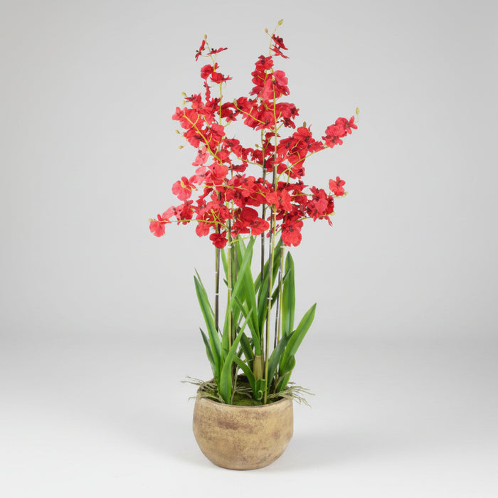90cm Oncidium Artificial Orchid Red in Stoneware Planter