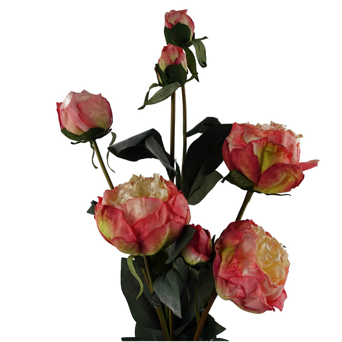 6 x 55cm Pink Peony Artificial Flower Stems