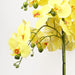 60cm Orchid Artificial Yellow - Black Ceramic Planter