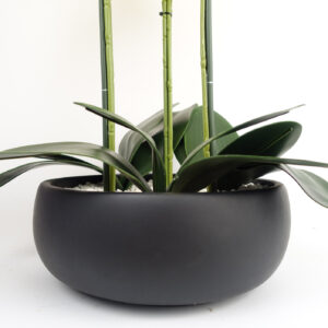 60cm Yellow Orchid – Black Ceramic Planter