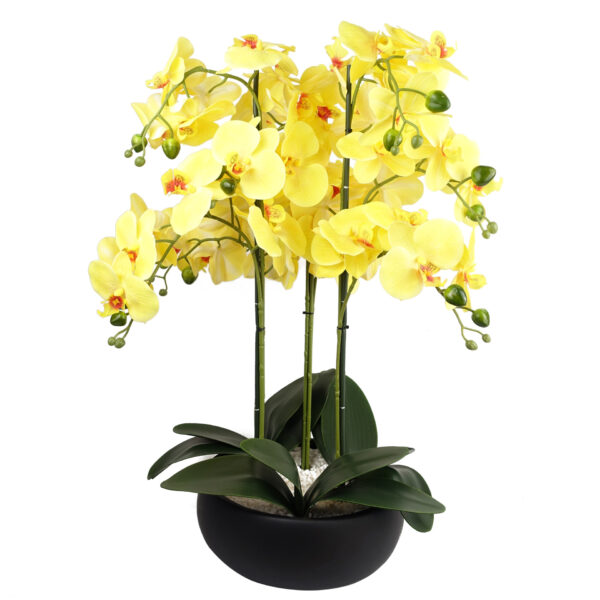 60cm Yellow Orchid – Black Ceramic Planter