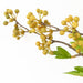 90cm Artificial Yellow Berry Stem