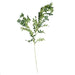 75cm White Starflower Display Ombre Glass Vase