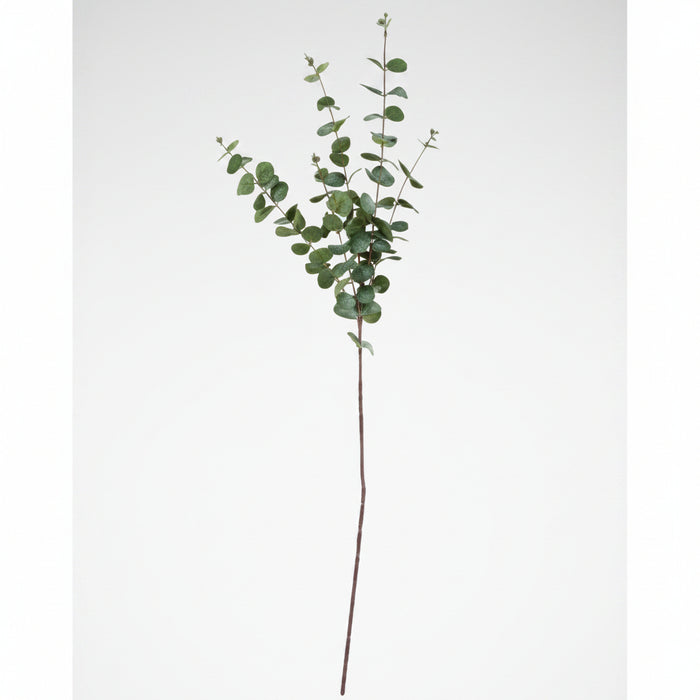 70cm - Rose, Orchid & Eucalyptus Arrangement in Glass Vase