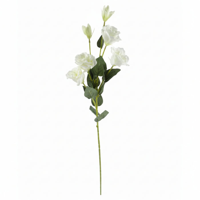 70cm - Rose, Orchid & Eucalyptus Arrangement in Glass Vase