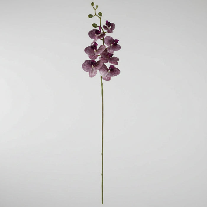 70cm - Rose, Orchid & Eucalyptus Arrangement in Glass Vase