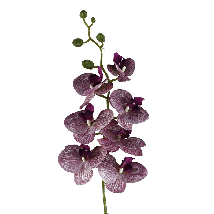 Pack of 6 x 100cm Artificial Phalaenopsis Orchid Purple Stem - 42 Flowers