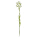 75cm White Starflower Display Ombre Glass Vase