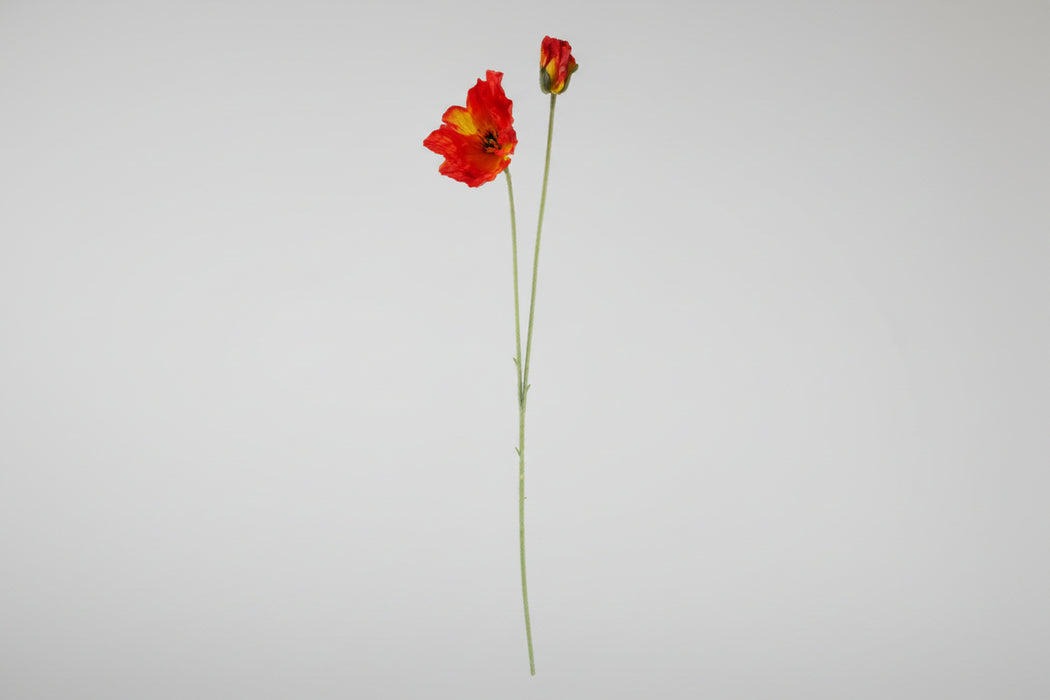 100cm Red Poppy and Fern Flower Arrangement with Smoke Grey Glass Vase