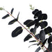 Pack of 6 x 80cm Black Eucalyptus Foliage Stem
