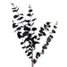 80cm Black Eucalyptus Foliage Stem