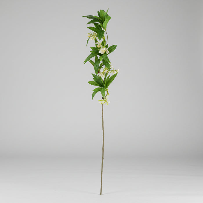 Elegant 60cm Cream Delphinium & Berry Arrangement with Glass Vase