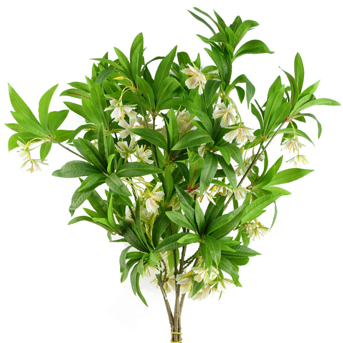 Pack of 6 x 90cm Artificial Hainan Elaeocarpus Stem