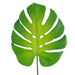 55cm Single Artificial Monstera Leaf
