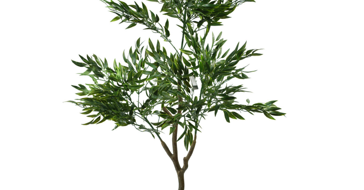 UV Resistant Japanese Ficus Tree – 120cm Indoor & Outdoor