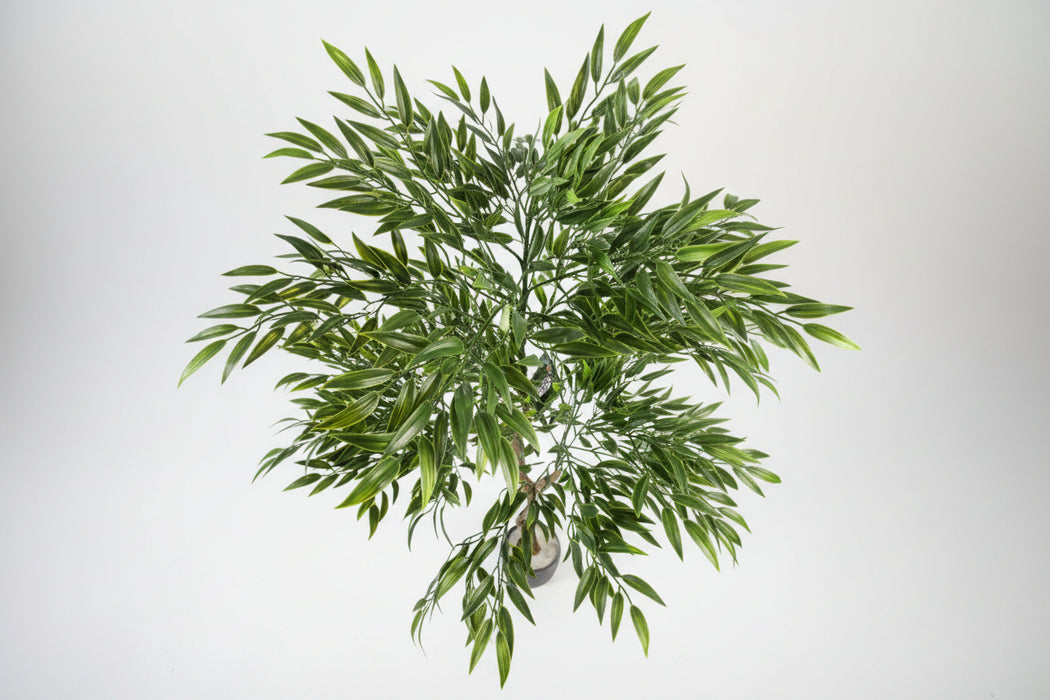 UV Resistant Japanese Ficus Tree – 120cm Indoor & Outdoor