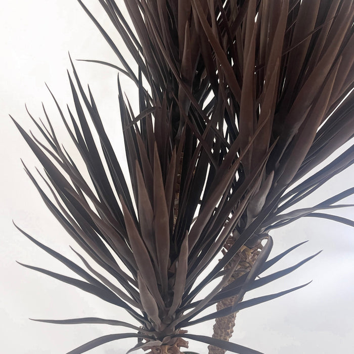 155cm Artificial Yukka Tree Plant Spiky UV Resistant Outdoor Tree Triple Dark Red / Brown