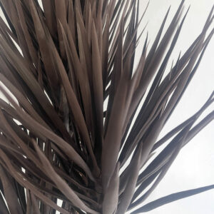 155cm Premium Triple Yukka Tree Plant Spiky UV Resistant Outdoor Tree...