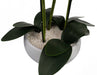 60cm Orchid Artificial Black - White Marble Ceramic Planter