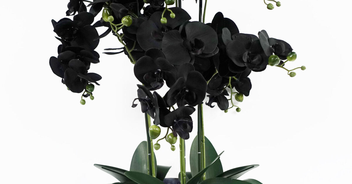 60cm Black Orchid – White Marble Ceramic Planter