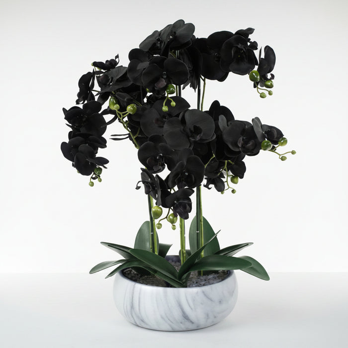 60cm Black Orchid – White Marble Ceramic Planter