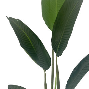 120cm Stunning UV Traveller Banana Palm Tree