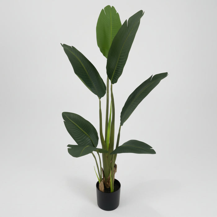 120cm Stunning UV Traveller Banana Palm Tree