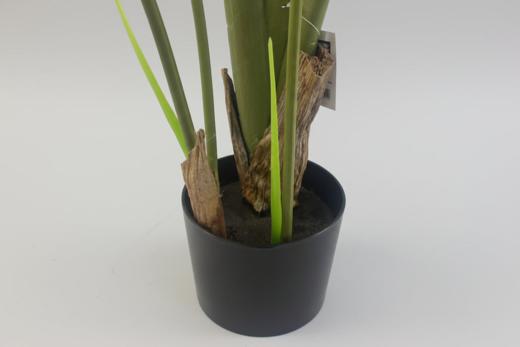 120cm Stunning UV Traveller Banana Palm Tree