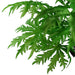 85cm Artificial Foliage Leaf Stem